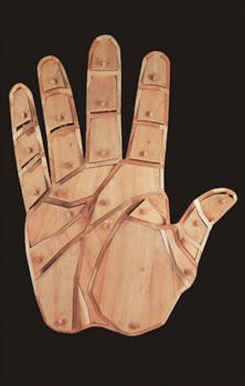 Xem tướng tay: Các ngón tay